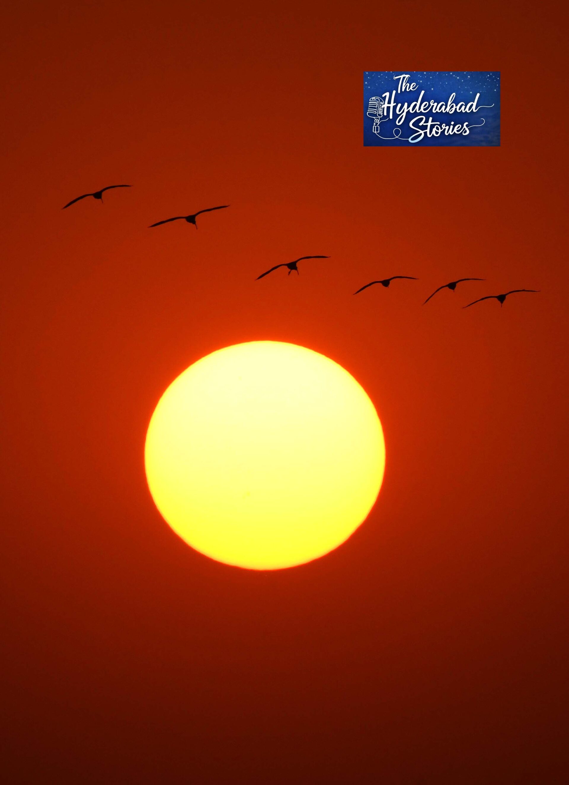 Pragati Nagar Lake shines with migratory birds and breathtaking sunset views.