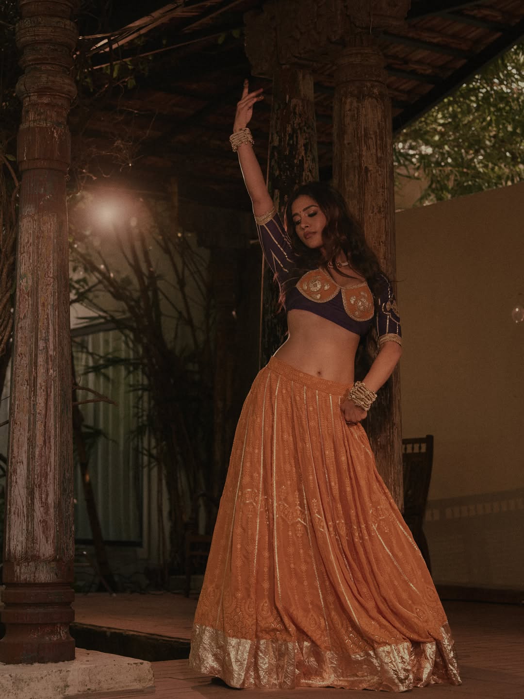 Nabha Natesh