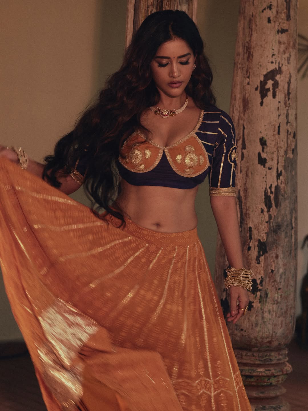 Nabha Natesh
